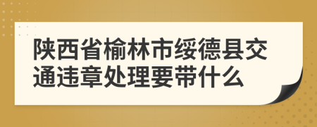 陕西省榆林市绥德县交通违章处理要带什么