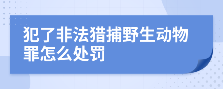 犯了非法猎捕野生动物罪怎么处罚