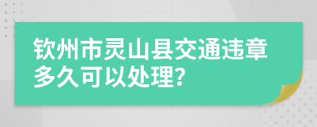 钦州市灵山县交通违章多久可以处理？