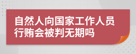 自然人向国家工作人员行贿会被判无期吗