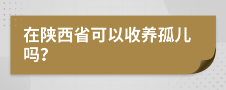 在陕西省可以收养孤儿吗？