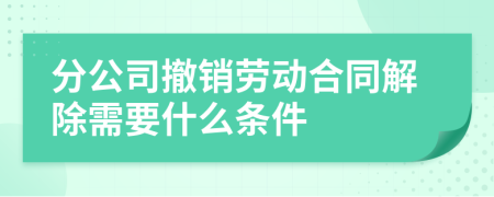 分公司撤销劳动合同解除需要什么条件