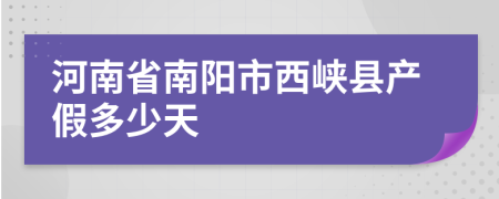 河南省南阳市西峡县产假多少天