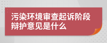 污染环境审查起诉阶段辩护意见是什么