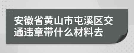 安徽省黄山市屯溪区交通违章带什么材料去