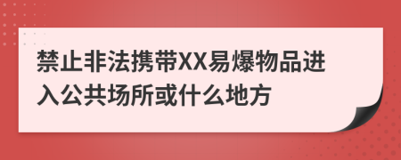 禁止非法携带XX易爆物品进入公共场所或什么地方