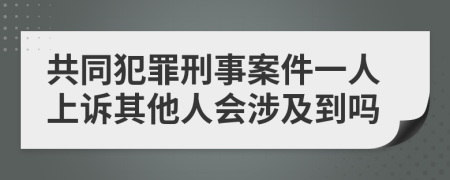 共同犯罪刑事案件一人上诉其他人会涉及到吗