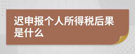 迟申报个人所得税后果是什么