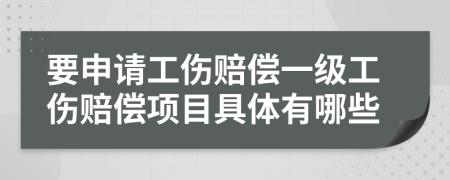 要申请工伤赔偿一级工伤赔偿项目具体有哪些