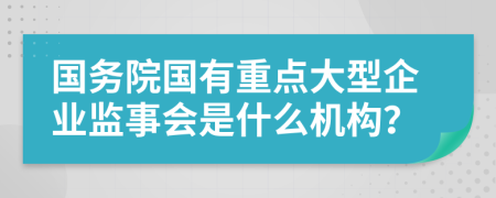 国务院国有重点大型企业监事会是什么机构？