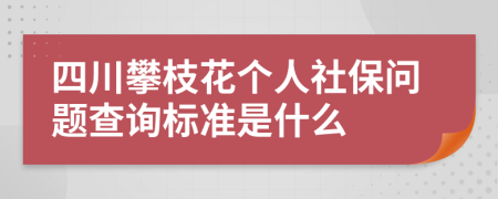 四川攀枝花个人社保问题查询标准是什么