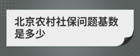 北京农村社保问题基数是多少