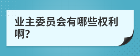 业主委员会有哪些权利啊？