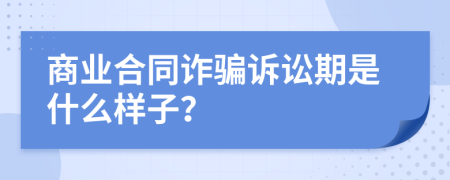 商业合同诈骗诉讼期是什么样子？