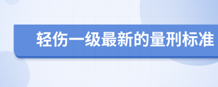 轻伤一级最新的量刑标准