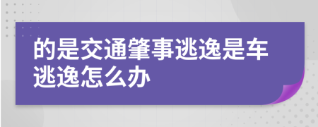 的是交通肇事逃逸是车逃逸怎么办