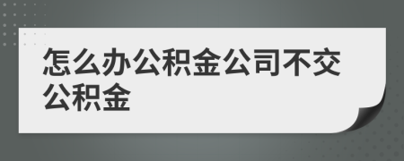 怎么办公积金公司不交公积金