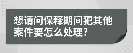 想请问保释期间犯其他案件要怎么处理?