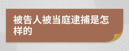 被告人被当庭逮捕是怎样的