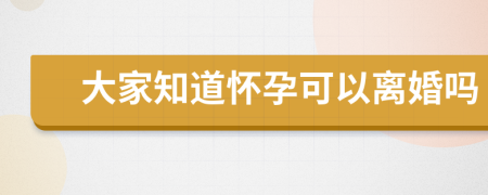 大家知道怀孕可以离婚吗