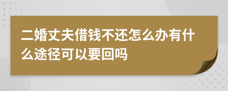 二婚丈夫借钱不还怎么办有什么途径可以要回吗