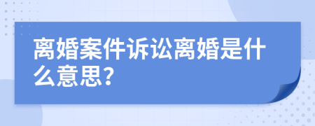 离婚案件诉讼离婚是什么意思？