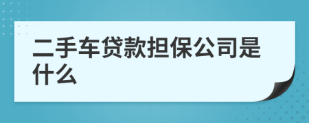 二手车贷款担保公司是什么