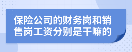 保险公司的财务岗和销售岗工资分别是干嘛的