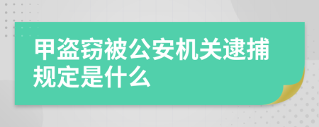 甲盗窃被公安机关逮捕规定是什么