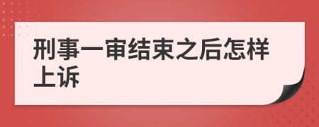 刑事一审结束之后怎样上诉