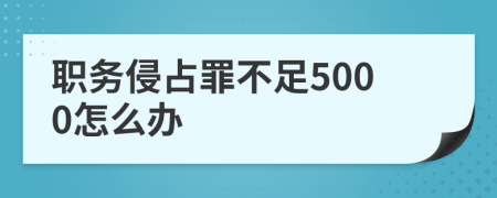 职务侵占罪不足5000怎么办