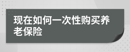 现在如何一次性购买养老保险