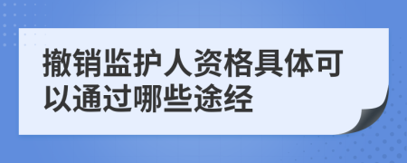 撤销监护人资格具体可以通过哪些途经