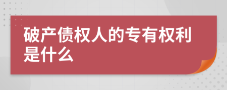 破产债权人的专有权利是什么