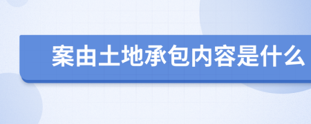 案由土地承包内容是什么