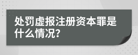 处罚虚报注册资本罪是什么情况？