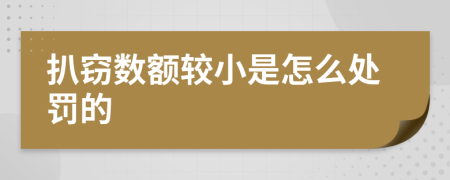 扒窃数额较小是怎么处罚的