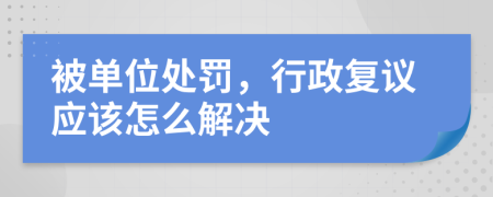 被单位处罚，行政复议应该怎么解决