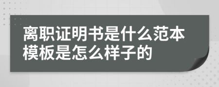 离职证明书是什么范本模板是怎么样子的