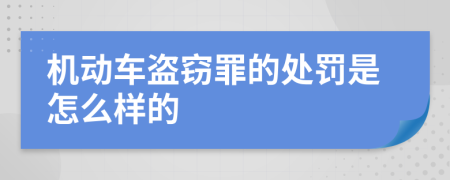 机动车盗窃罪的处罚是怎么样的