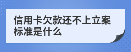 信用卡欠款还不上立案标准是什么