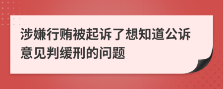 涉嫌行贿被起诉了想知道公诉意见判缓刑的问题