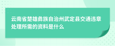 云南省楚雄彝族自治州武定县交通违章处理所需的资料是什么