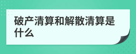 破产清算和解散清算是什么