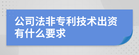 公司法非专利技术出资有什么要求