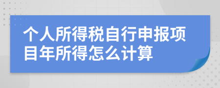 个人所得税自行申报项目年所得怎么计算