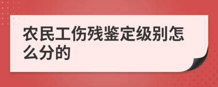 农民工伤残鉴定级别怎么分的