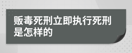 贩毒死刑立即执行死刑是怎样的