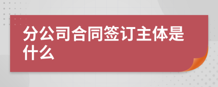 分公司合同签订主体是什么