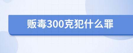 贩毒300克犯什么罪